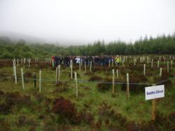 Lairds and Ladies Planting Trees on the Estate